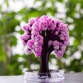 Sakura Mágica - Cerezo Mágico en Crecimiento