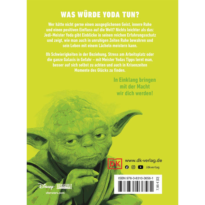 23033_star-wars-ontdek-de-yoda-in-jezelf-main2.jpg