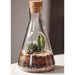 Kit terrarium de labo dans une fiole d'Erlenmeyer