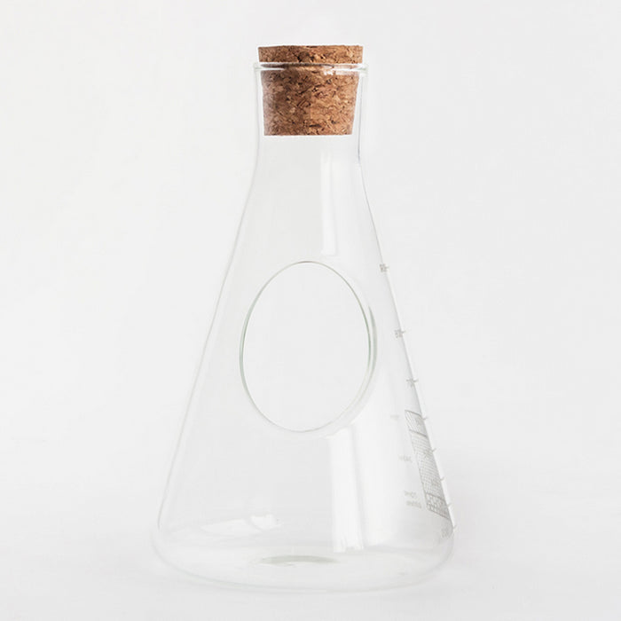 Kit terrarium de labo dans une fiole d'Erlenmeyer