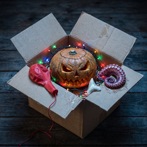Bundle Halloween en 4 Niveles