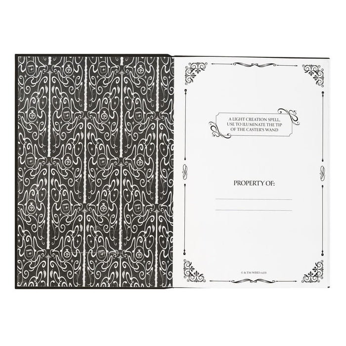 Harry Potter Notizbuch Lumos mit Zauberstab