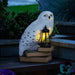 Lampada solare da giardino Edvige di Harry Potter